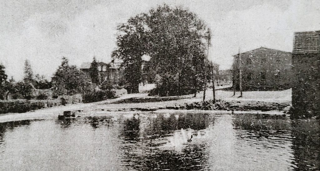 Alter Feuerlöschteich; Foto: Andreas Freitag